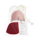 ASSP for Surgical Cut Suit - Lung injury, 1025858, Surgical Procedures Training (Small)