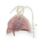 ASSP for Surgical Cut Suit - Lung injury, 1025858, Surgical Procedures Training (Small)