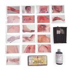 Kit de Moulage Hiperrealista &ndash; Piel Oscura, 1025888, Atenci&oacute;n m&eacute;dica en trauma cr&iacute;tico y atenci&oacute;n m&eacute;dica en emergencias traum&aacute;ticas (Small)