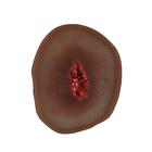 Product in Oscuro