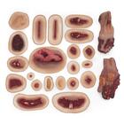 Kit de Moulage Hiperrealista &ndash; Piel Clara, 1025919, Atenci&oacute;n m&eacute;dica en trauma cr&iacute;tico y atenci&oacute;n m&eacute;dica en emergencias traum&aacute;ticas (Small)