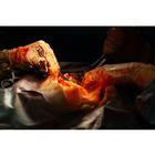 Surgical Cut Suit (TCCC/EMS Capabilities) - Light Skin, 1025958, Surgical Procedures Training (Small)