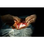 Surgical Cut Suit (TCCC/EMS Capabilities) - Light Skin, 1025958, Surgical Procedures Training (Small)