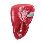 Liver w/ Gallbladder, 1025971, Replacements (Small)
