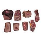 Kit Avanzado de Moulage &ndash; Piel Oscura, 1025977, Atenci&oacute;n m&eacute;dica en trauma cr&iacute;tico y atenci&oacute;n m&eacute;dica en emergencias traum&aacute;ticas (Small)