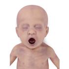 Lifecast Baby V &nbsp;erkek, 1026055, Newborn (Small)