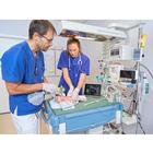 Monivent Neo Training System&nbsp;, 1026060, Airway Management Newborn (Small)