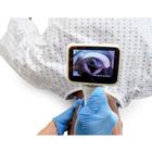 Lifecast Yetişkin (Sherif), 1026269, Adult (Small)