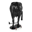 Hereford Advanced Bovine Theriogenology Model, Black, 1026384, Szarvasmarha szimul&aacute;torok &nbsp; (Small)
