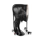 Hereford Advanced Bovine Theriogenology Model, Black, 1026384, Szarvasmarha szimul&aacute;torok &nbsp; (Small)