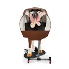 Modello avanzato di teriologia bovina Hereford, marrone e bianco, 1026389, Simulatori Bovini (Small)