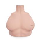 Basic Billy Torace Femminile Pelle Chiara, 1026476, BLS per adulti (Small)