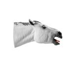 Equine Dental Float Simulator, 1026511, Equine Simulators (Small)