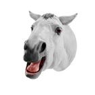 Equine Dental Float Simulator, 1026511, Equine Simulators (Small)