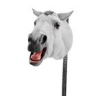 Equine Dental Float Simulator with Rolling Stand, 1026512, Equine Simulators (Small)