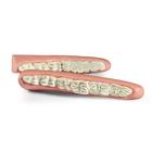 Mandibule &eacute;quine en forme de vague, 1026522, Simulateurs &eacute;quins (Small)