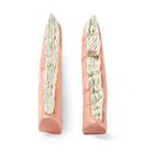 Mandibule &eacute;quine &agrave; bouche en escalier, 1026524, Simulateurs &eacute;quins (Small)