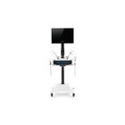 Laparo Analytic Veterinary, 1026787, Laparoscopy (Small)