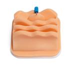 Ovariectomy Training Module for Laparo Apex Pro Veterinary, 1026790, Laparoscopy (Small)