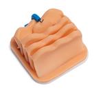 Ovariectomy Training Module for Laparo Apex Pro Veterinary, 1026790, Laparoscopy (Small)
