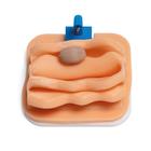 Cryptorchid Castration Training Module for Laparo Advance/Analytic Veterinary, 1026791, Laparoscopy (Small)
