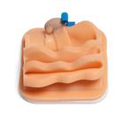 Cryptorchid Castration Training Module for Laparo Apex Pro Veterinary, 1026792, Laparoscopy (Small)