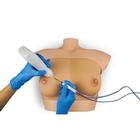 Breast Examination, Biopsy and Ablation Training Platform (Full Model), 1026867, Ultrasound Skill Trainers (Small)