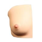Right Single Breast with 5 Cysts (FNA), 1026875, Replacements (Small)