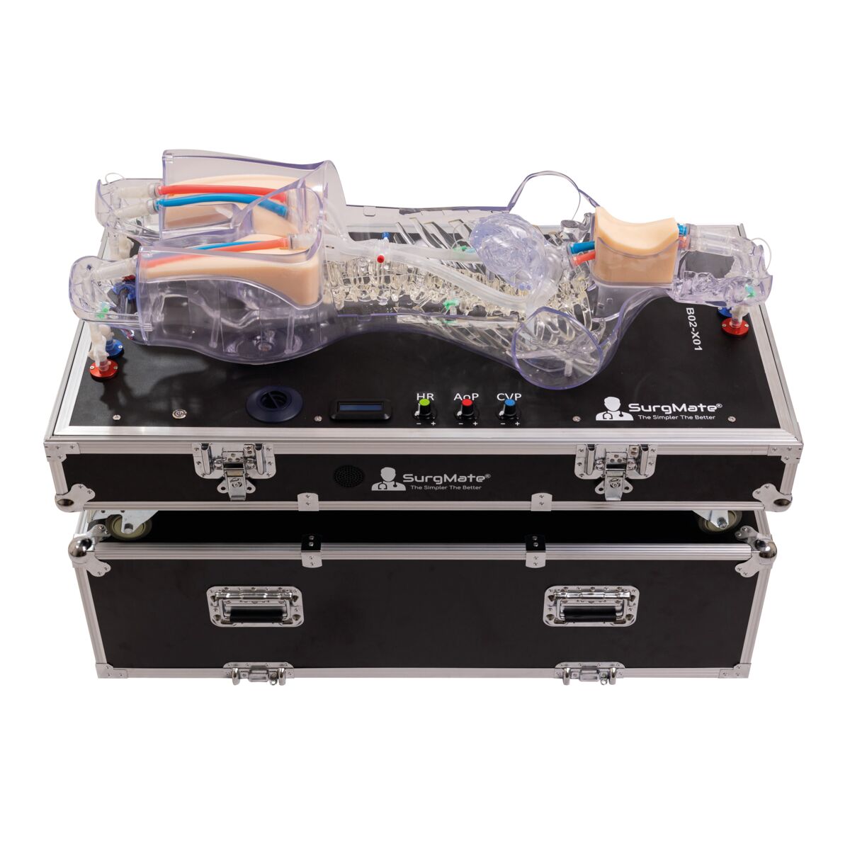 ECMO Cannulation and Endovascular Procedures Training Platform ...