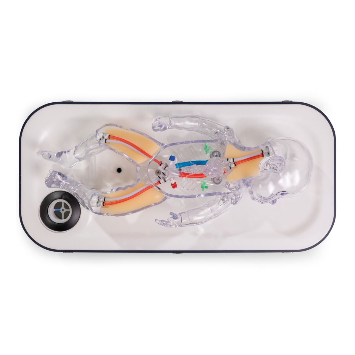 Plateforme de formation NeoPeds aux procédures endovasculaires ...