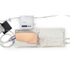 Femoral Vascular Access Trainer Basic, 1026903, Injections and Punctures (Small)