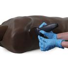 Smart TruMan Trauma Adulto, Oscuro, 1027011, Reanimaci&oacute;n cardiopulmonar avanzada con traumatismo (ATLS) (Small)