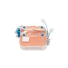 APEX PRO Conjunto de entrenamiento especializado &ndash; Cirug&iacute;a pedi&aacute;trica (Licencia perpetua), 1027067, Laparoscopy Training (Small)