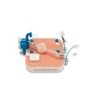 APEX PRO Conjunto de entrenamiento especializado &ndash; Cirug&iacute;a pedi&aacute;trica (Licencia perpetua), 1027067, Laparoscopy Training (Small)
