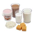 Basic Dairy Food Replica Kit, 3009004, Food Replicas