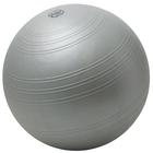Togu Powerball Challenge ABS, 55-65 cm (22-26 in), silver, 3009907, Exercise Balls
