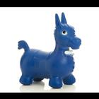 Togu Bonito Hoppy, 20" x 3", blue, 3009960, Balones de Gimnasia