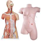 Basis-Pflege-Schulungsset, 8000869 [3011610], Krankenpflege Erwachsene (Small)