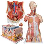 Nursing Plus Set, 8000873 [3011611], Adult Patient Care (Small)