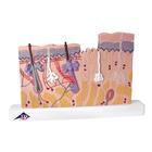 Wound Care Pro Set, 8000882 [3011908], Simulation Starter Kits (Small)