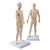 Male and Female acupuncture models, 3011922, Acupuncture Charts and Models (Small)