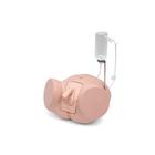 Male Catheterization Pro Set, 8000894 [3011959], Simulation Starter Kits (Small)