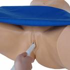 Blue Phantom Combo Intrauterine and Ectopic Pregnancy Transvaginal Ultrasound Training Model, 3012465, Entrenadores de habilidades de ultrasonido (Small)