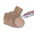 Blue Phantom Combo Intrauterine and Ectopic Pregnancy Transvaginal Ultrasound Training Model, 3012465, Entrenadores de habilidades de ultrasonido (Small)