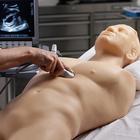 Blue Phantom FAST Ultrasound Training Model Includes Full Body Torso, 3012470, Ultrasound Skill Trainers