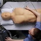 Blue Phantom FAST Ultrasound Training Model Includes Full Body Torso, 3012470, Ultrasound Skill Trainers (Small)