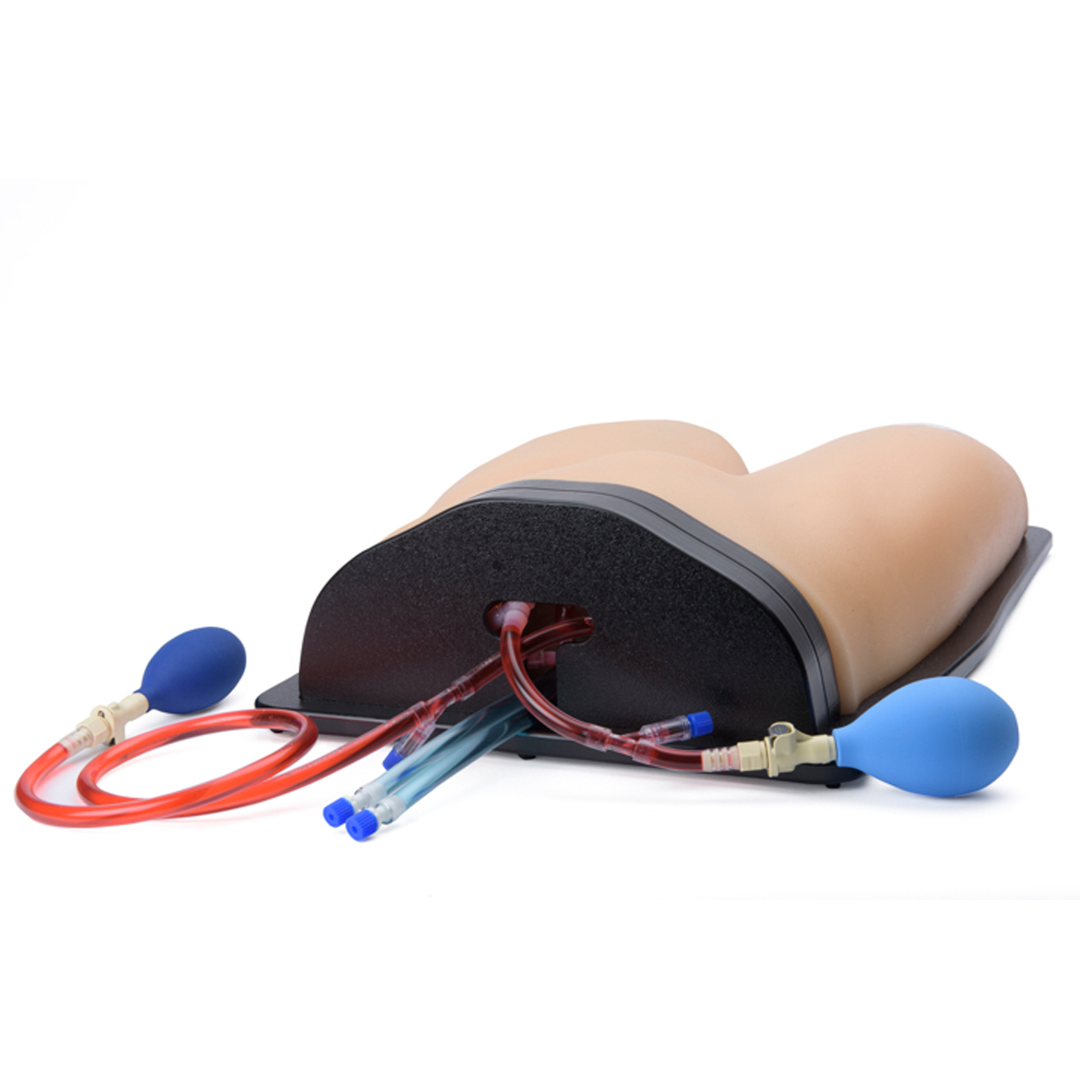 Blue Phantom Gen II Femoral Line & Regional Anesthesia Ultrasound ...