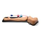 Blue Phantom Gen II PICC with I.V. and Arterial Line Ultrasound Training Model, 3012493, Ultrasound Skill Trainers (Small)
