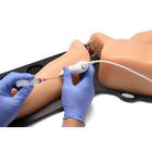 Blue Phantom Gen II PICC with I.V. and Arterial Line Ultrasound Training Model, 3012493, Ultrasound Skill Trainers (Small)