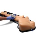 Blue Phantom Gen II PICC with I.V. and Arterial Line Ultrasound Training Model, 3012493, Ultrasound Skill Trainers (Small)